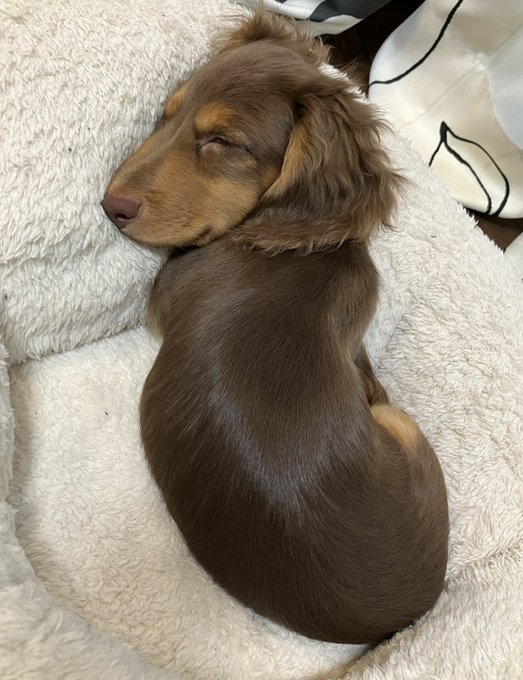 守らねば…
ってか首痛ない? 