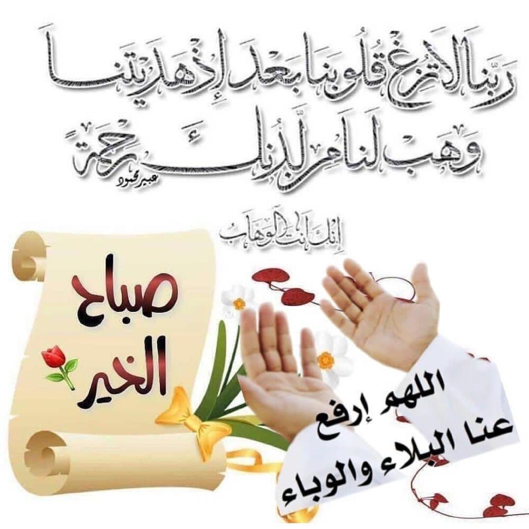 الطير المهاجر (@muntaser125mun1) on Twitter photo 