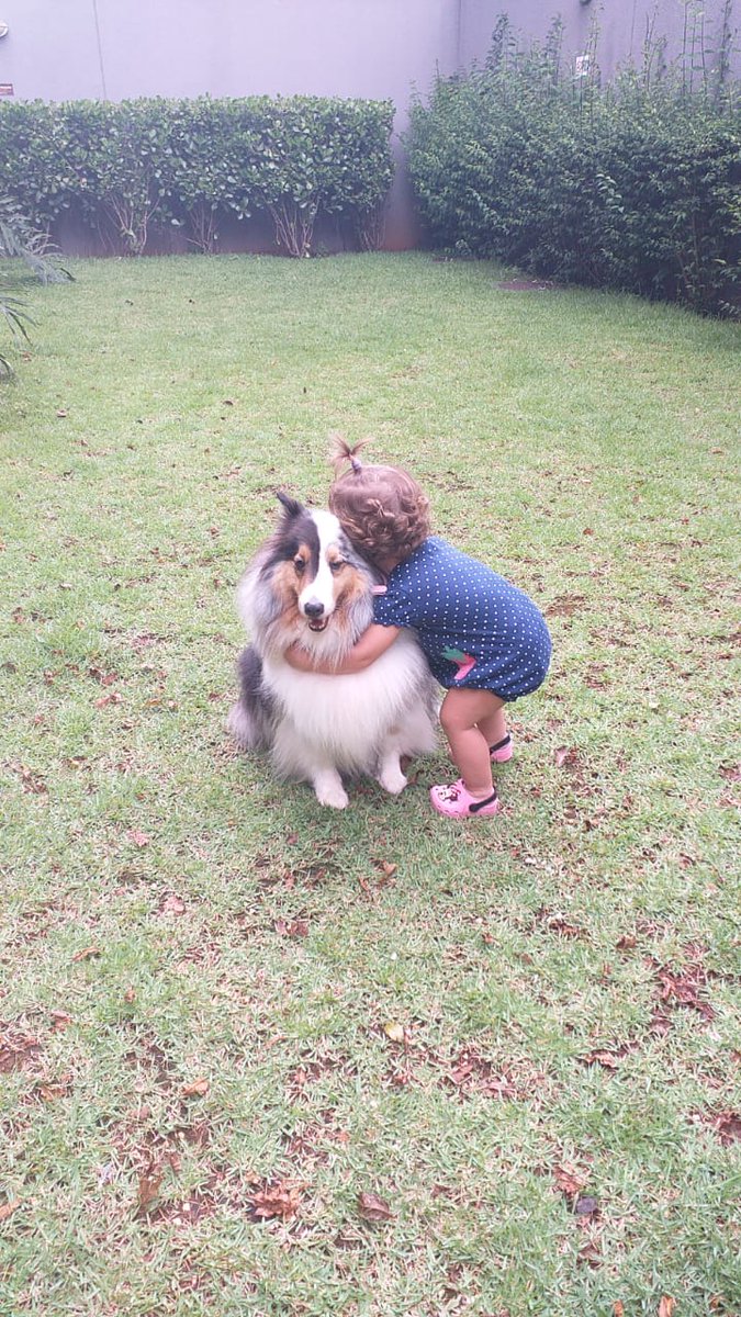 AninhaGob's tweet photo. @CalcinhasNoBox Meus 2 filhos 🤍💕 https://t.co/syYpwTV1O8