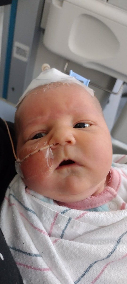 jqpuck1's tweet photo. My new granddaughter, Hope.  As if you needed a better reason to donate blood. 🩸 #hope #marshregionalbloodcenter https://t.co/1bl88MYxCD