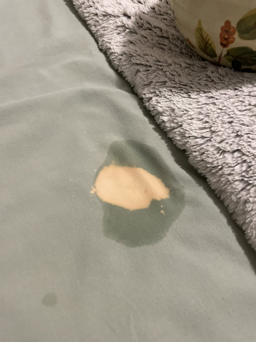 I sprayed tile cleaner on my duvet instead of stain remover

at least I’m pretty 🙃