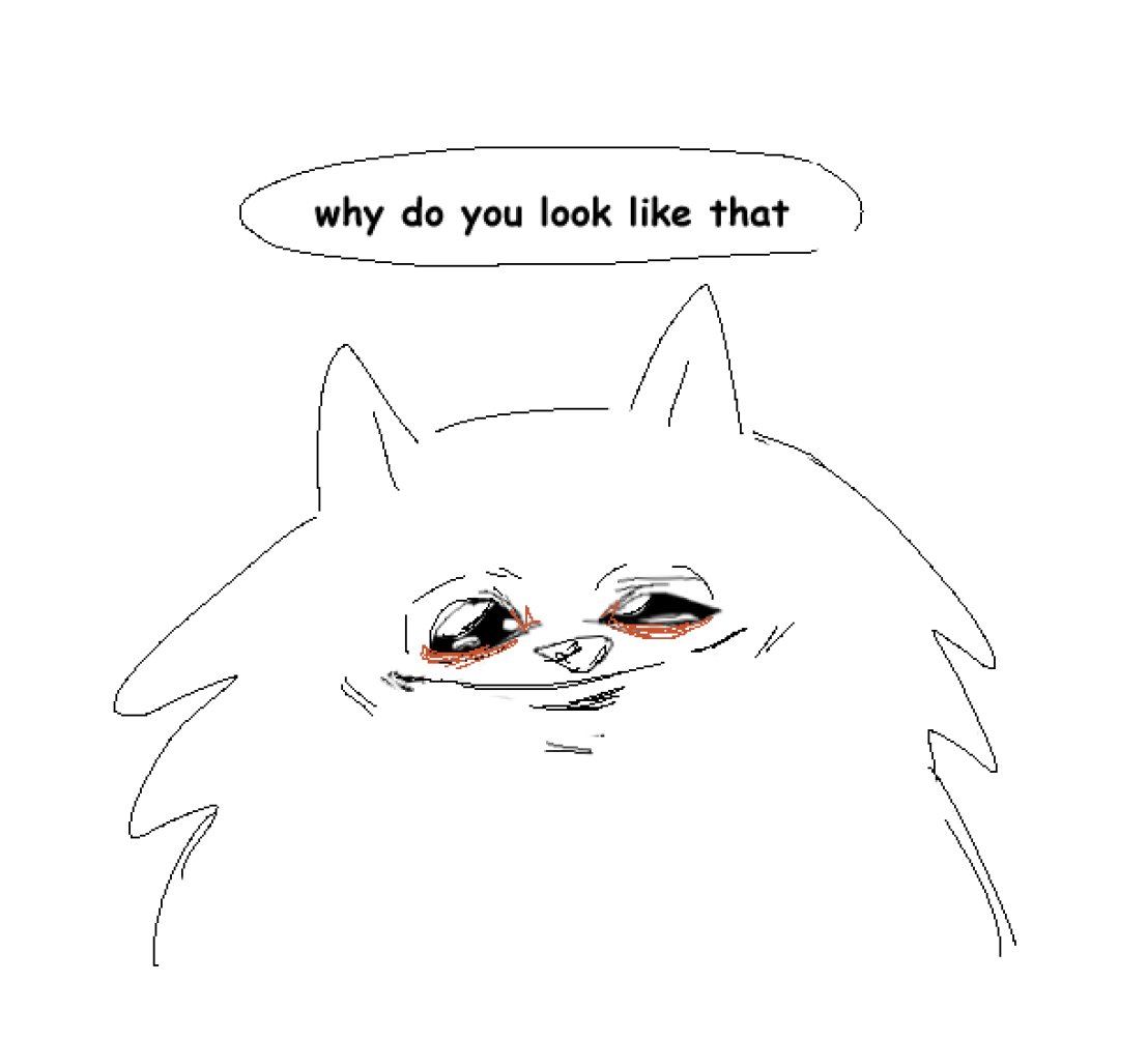 emma-on-twitter-small-dogs