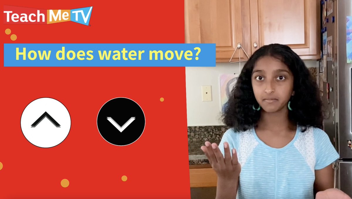 Sometimes all it takes to inspire children to learn, is seeing other children learning...or teaching. That's why we started our Kids Teaching Kids series.  Bite-size lessons meant to inspire and get kids interested in topics they haven't had exposure to.teachmetv.co/play/734543037