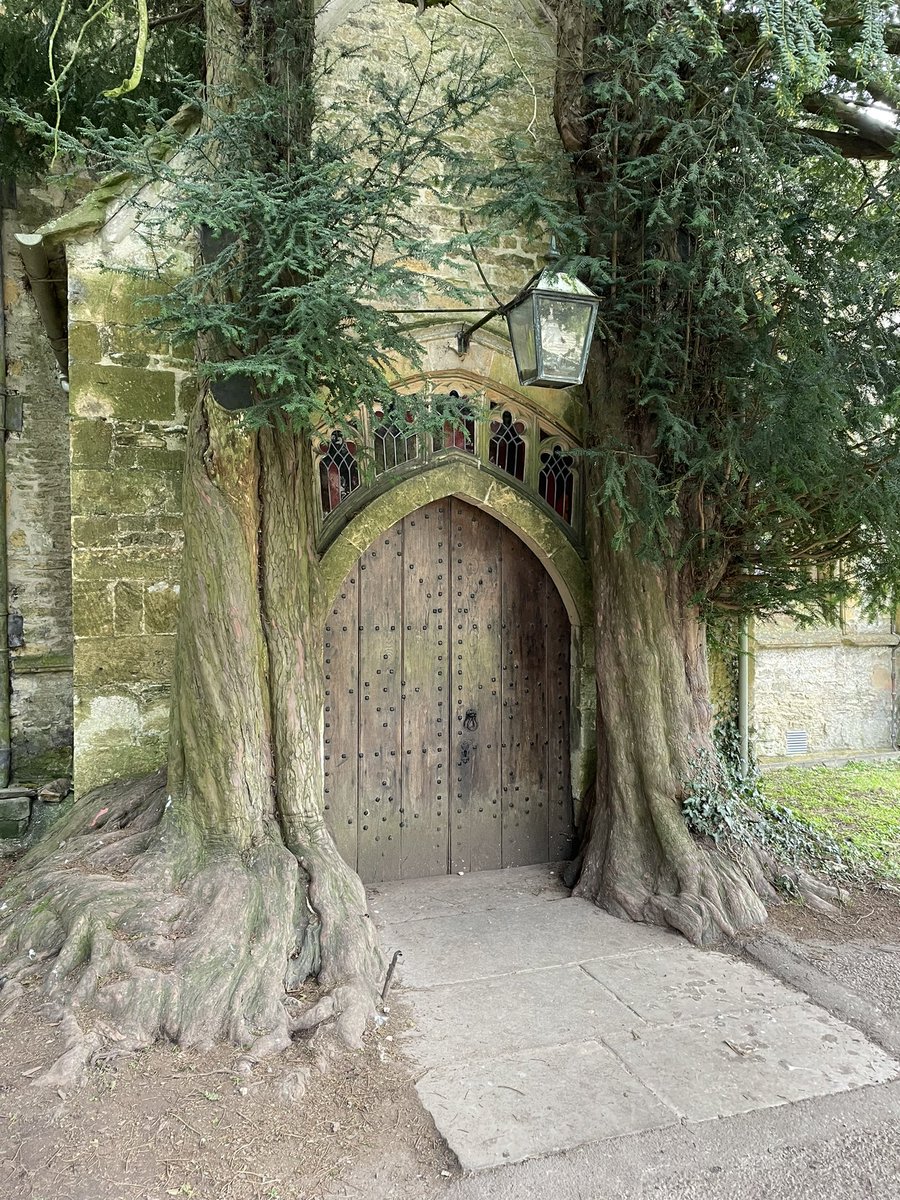 Saw the door of St Edwards in Stow-on-the-Wold and thought of yew.