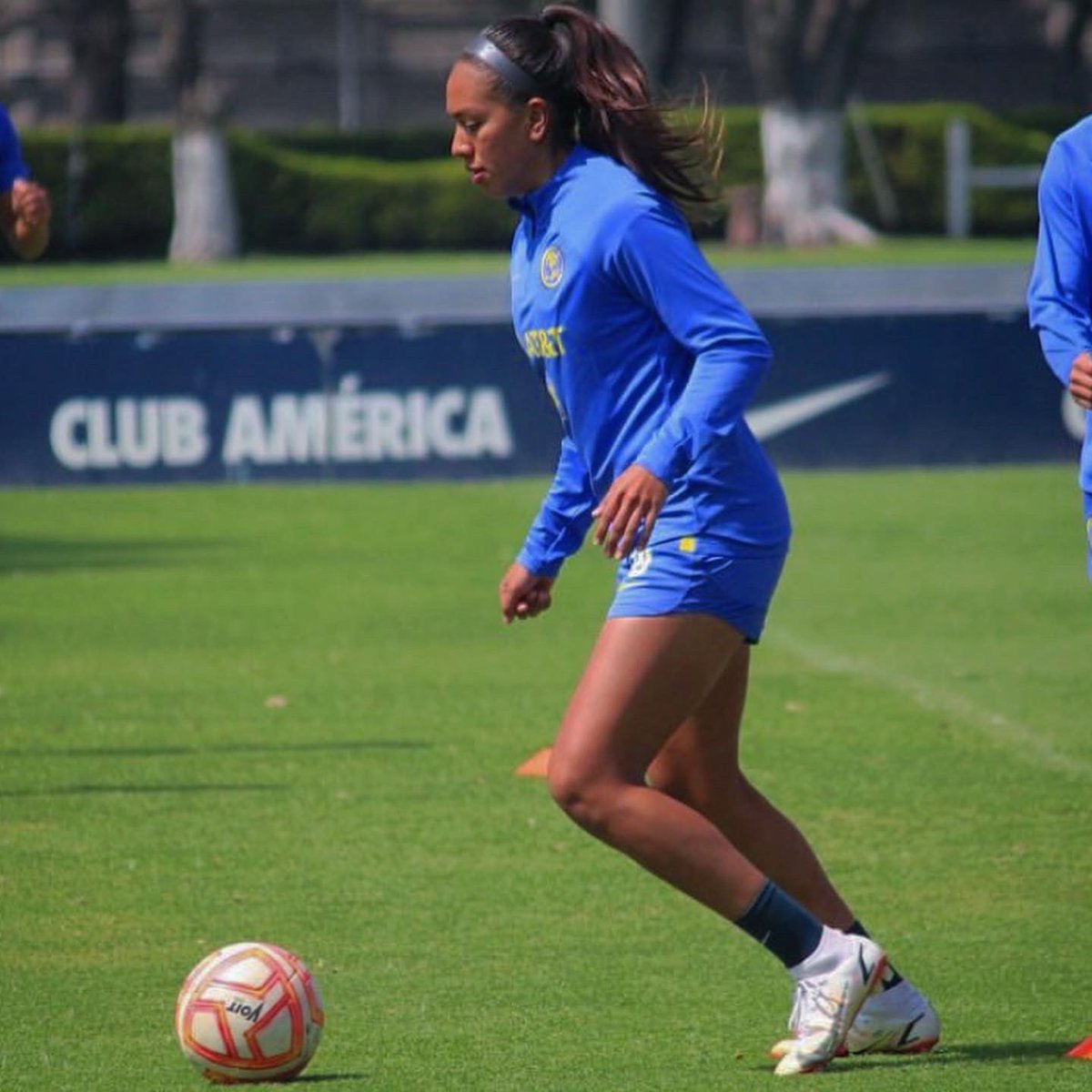 💙🦅💛
@mktjersey