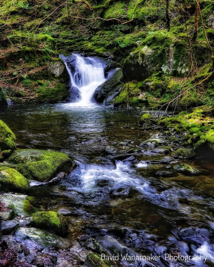 One the many forces of the Dolgoch Waterfall(s). #wales #waterfall #dolgochfalls #capturewales #explore #welsh #welshcountryside #igerswales #beautiful #goodmorning #northwales #exploringwales instagr.am/p/Cok4_cqvh7Q/