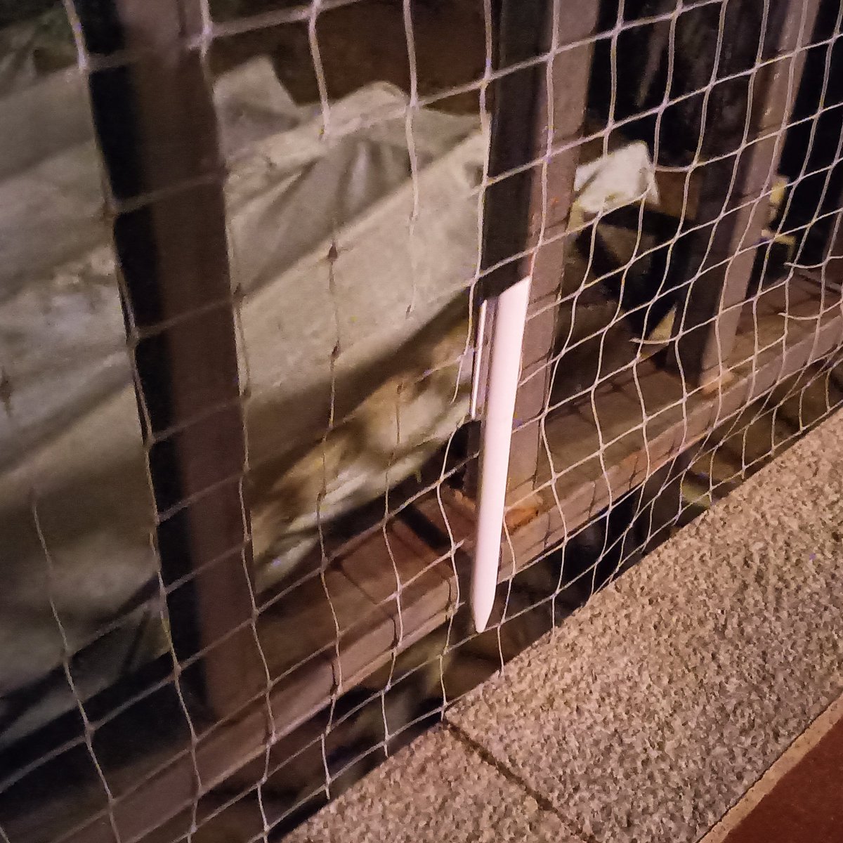 isaactv's tweet photo. Bones @mossos! Aquest matí ens hem adonat que teníem un bolígraf a la nostra terrassa. Qui ho ha posat ha estat entre divendres/dissabte.. Teniu constància d'aquestes marques? #larieradegaia https://t.co/NmbwAmKlmI