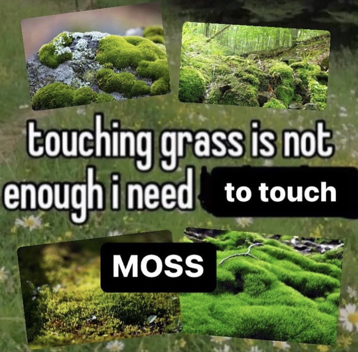 imskytrash tweet picture