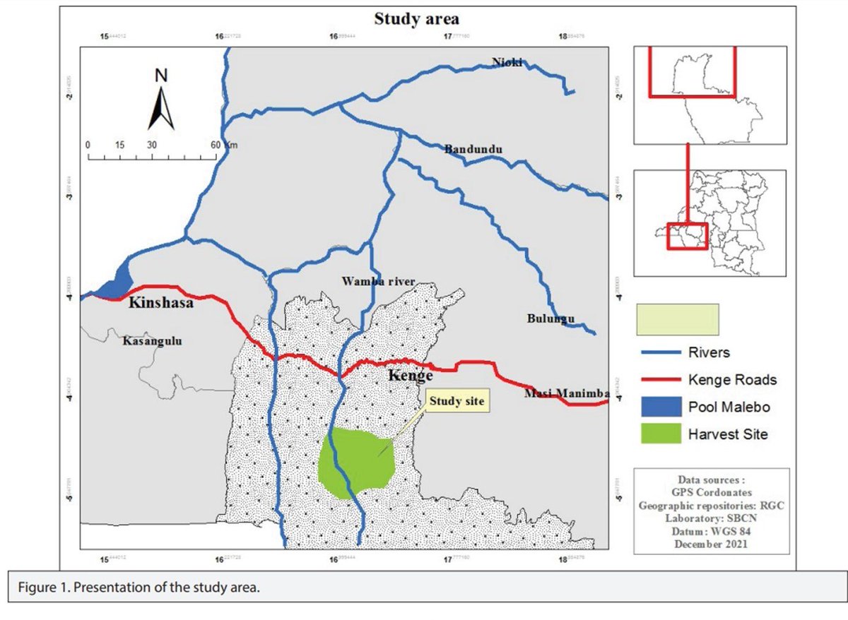 EurJBiol's tweet photo. 📢📢📢A paper published in the recent issue of European Journal of Biology “Floristic, Ecological and Phytogeographic Study of the Wamba Valley Massif Forest in Kwango in DRC”

Read more: 

https://t.co/0VChuA29xW https://t.co/eePvt4G3cd
