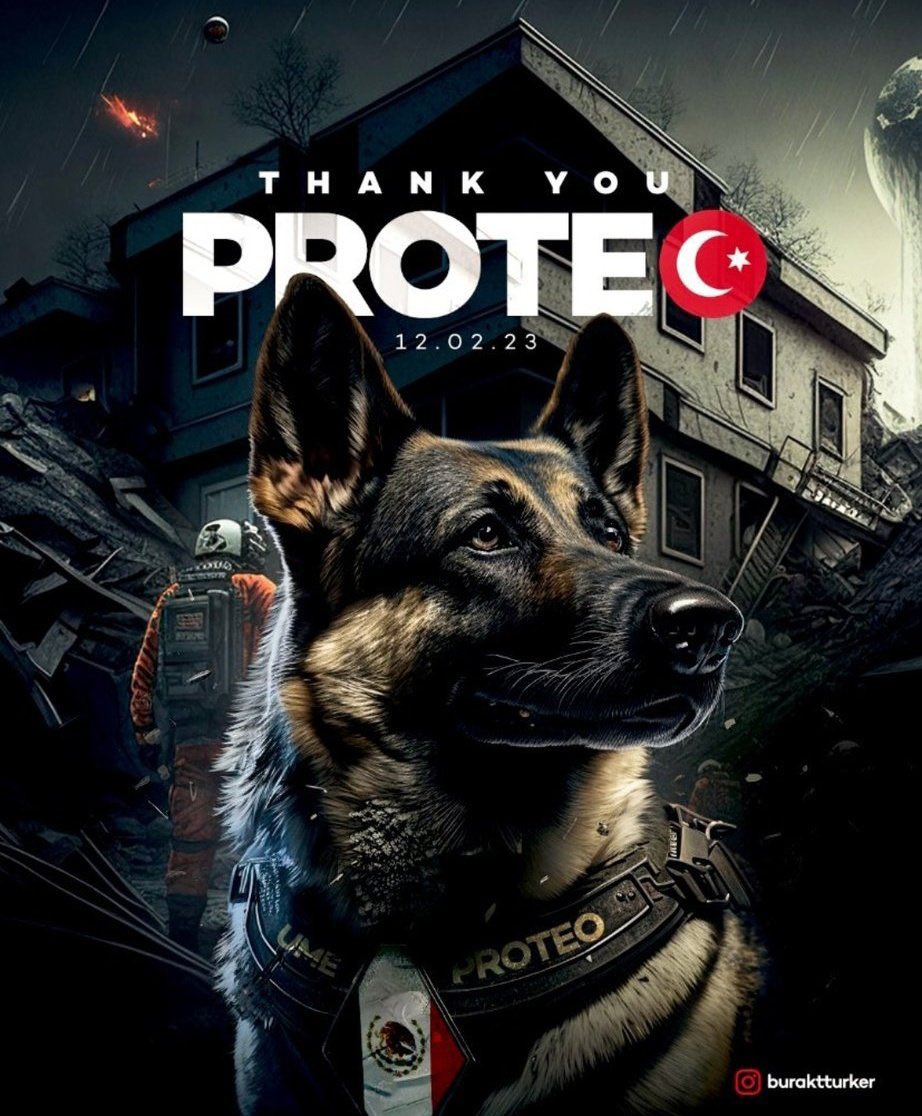 Oakei_'s tweet photo. Canımın içi 🙏 https://t.co/5PqG76kRTd