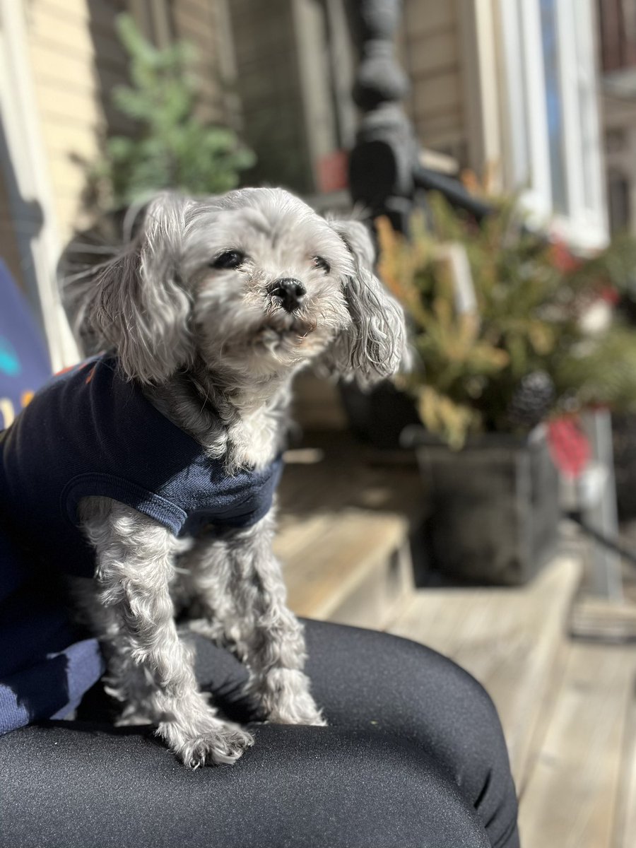 Aussieshell4 tweet media