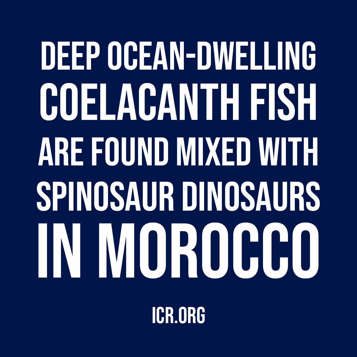 ICRscience's tweet image. 🇲🇦 Did you know this fossil fact? Deep ocean-dwelling coelacanth fish are found mixed with spinosaur dinosaurs in Morocco!

#FossilFacts #Paleontology