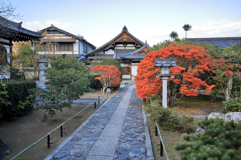 si_za_aquarius's tweet photo. 遅れてきた京都（R3、11月末）

夕刻前の弘源寺

#京都 #紅葉  #嵐山 https://t.co/k8dgwpjb40