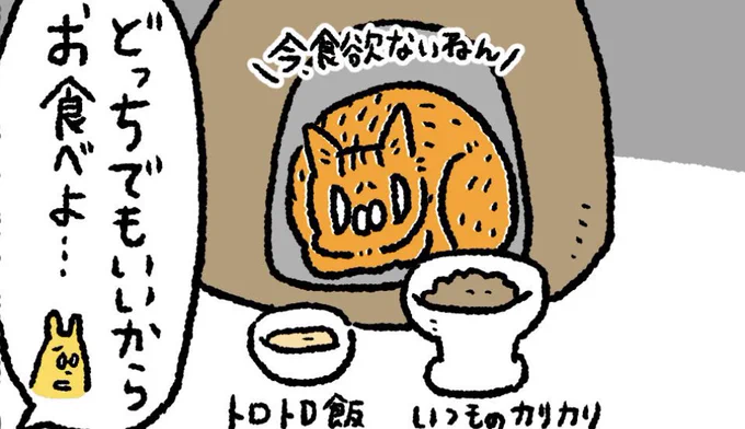 ブログを更新しましたウチの猫達は体調を崩すとこの方法でしかご飯を食べてくれないんです…#猫漫画#ライブドアブログ 