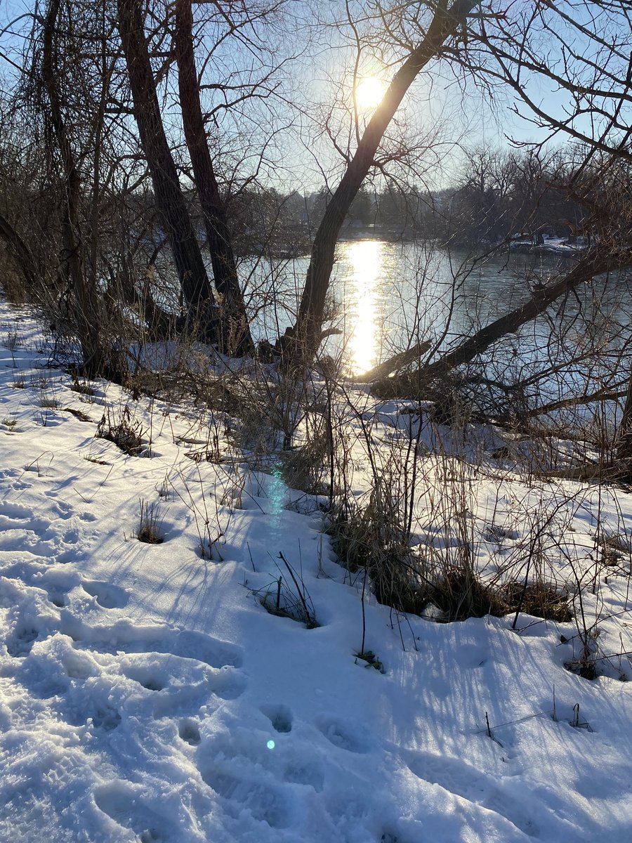 marylinjdawson's tweet photo. Blessed to be out enjoying this gorgeous winter day. #BruceGrey you have some beautiful scenery and I can’t wait to explore more https://t.co/5Q8SFmhsjo
