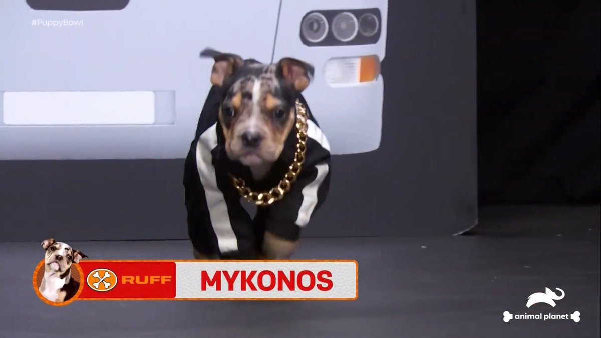 RIP Mykonos, he had the best outfit. #PuppyBowl2023 🕊🕊🕊