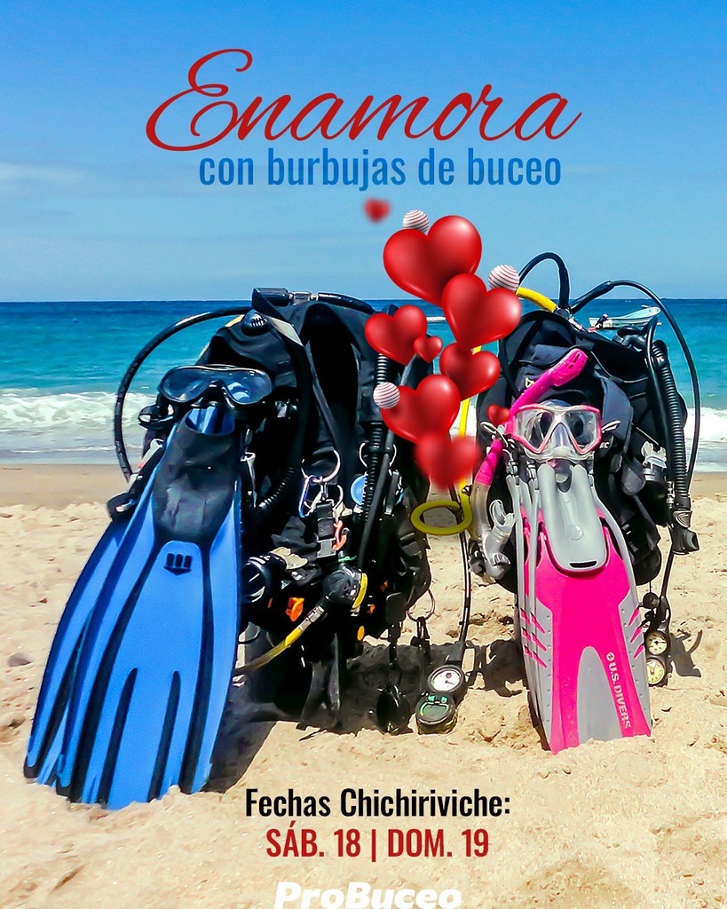 ProBuceo's tweet photo. 🎁 ¿Quieres regalar una experiencia especial a esa persona tan importante? 

☀️ Tienes a tu disposición la experiencia de buceo para ser buzos por un día junto a esa persona tan especial, compartir la ingravidez, el silencio, explorar el azul, descubr… https://t.co/2ORcDrQGpD https://t.co/ncg0oWvDbd