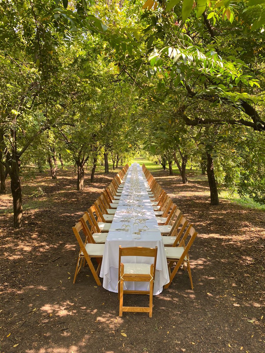 Food and Travel MX tweet media