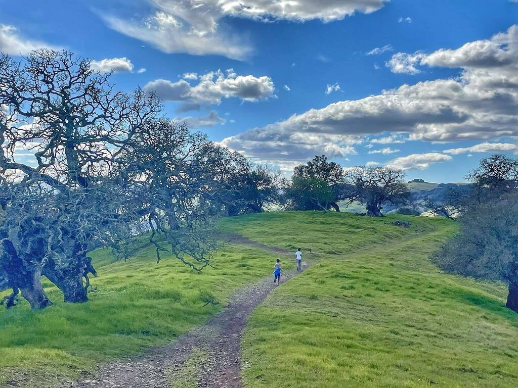 Some shots from yesterday’s hike at Rockville Hills Regional Park!

#hiking #hikingwiththefam #outdoorfamilies #hikingadventures #hikingcalifornia
#outdoors #optoutside #neverstopexploring #teamnuun #fitfam #fitmom #getoutside #nature #outdoorfun #wander… instagr.am/p/ColCu5rP_ni/
