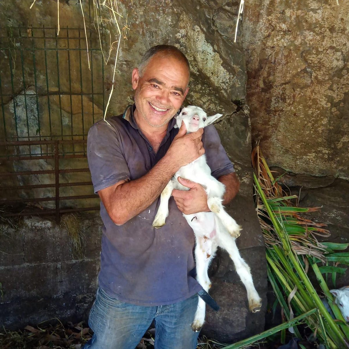 🇬🇧 Today marks a special day on the calendar. We would like to wish Luis, our groundskeeper a very special happy birthday 🥳

This man plays a special role on the hotel farm and has the utmost care and love for our farm animals.

#birthdayboy #FelizAniversario #goat  #farmanimal