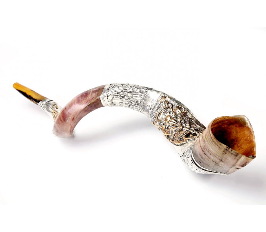 nell ️ is writing her first manuscript on Twitter "RT parasocialyte