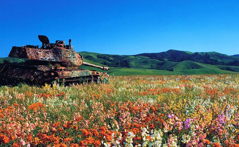 <a href="/Tendar/">(((Tendar)))</a> <a href="/AndrewPerpetua/">Andrew Perpetua</a> A few months from now....