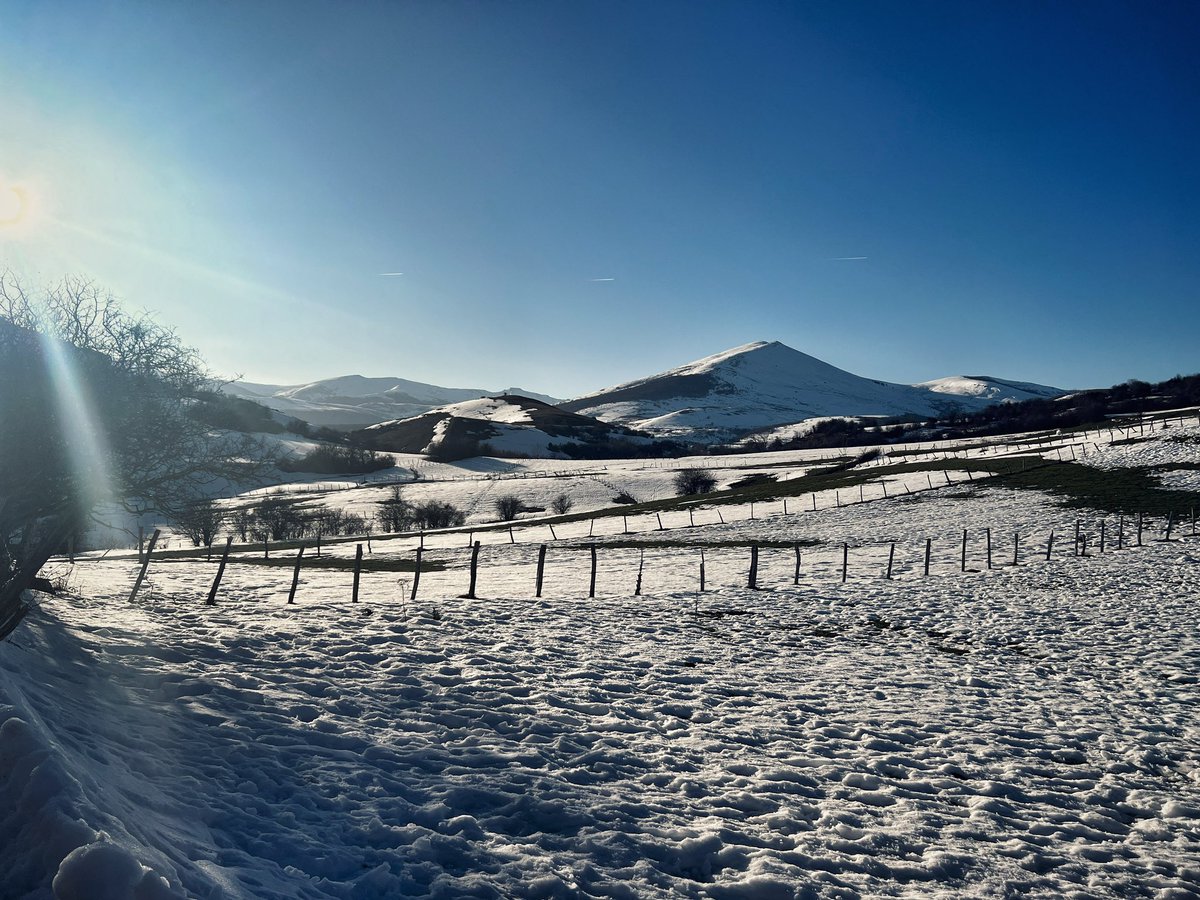 Ignacio Oñate tweet media