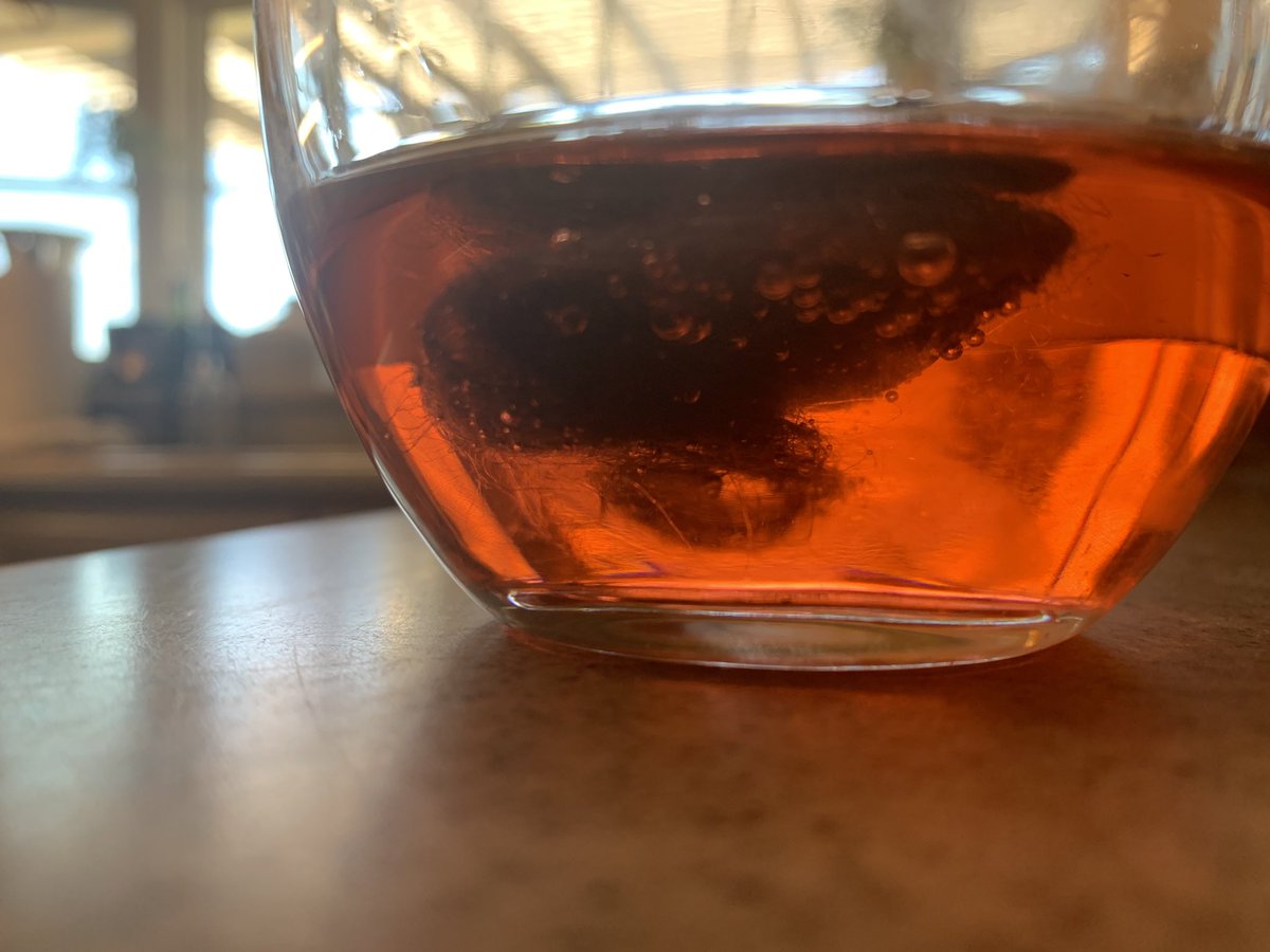 halloweendown's tweet photo. @pedialyte WHAT IS THIS MONSTER IN MY PEDIALYTE?!!!! IT TOUCHED MY LIP! BEYOND FREAKED OUT #pedialyte #monster #BABYMONSTER #food #foodpics #drinks #foodphotography #wellness #exercise #HealthyLiving #sport #ew #THIRSTY #ThirstyThursday #Thirst https://t.co/F68N8HyBrE