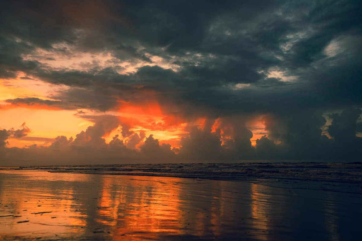 Dreamthorp tweet media