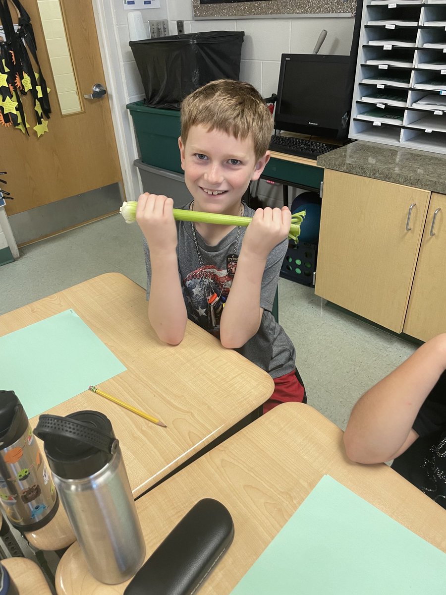 LauraSchachter's tweet image. Stem investigation #vcsscientists @VCSscience #cgeeagles ⁦@MelissaLundell1⁩