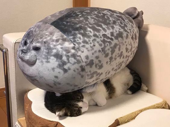 when it's sleepover and your homies forgot to give you blanket