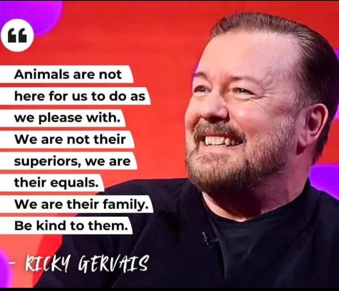 Couldn't say it better myself 👏
#animals #rickygervais #bekind #animal #rickygervaisquotes #bekindalways #animallovers #rickygervaishumanity #bekindtoanimals #animallover #rickygervaisedit #bekindtoeverykind #animalkingdom #rickygervaisquote #bekindtoallkinds #animalrights