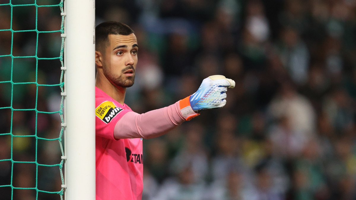 🧱 𝘋𝘐𝘖𝘎𝘖 𝙏𝙃𝙀 𝙒𝘼𝙇𝙇 𝘊𝘖𝘚𝘛𝘈 🐉

#SCPFCP