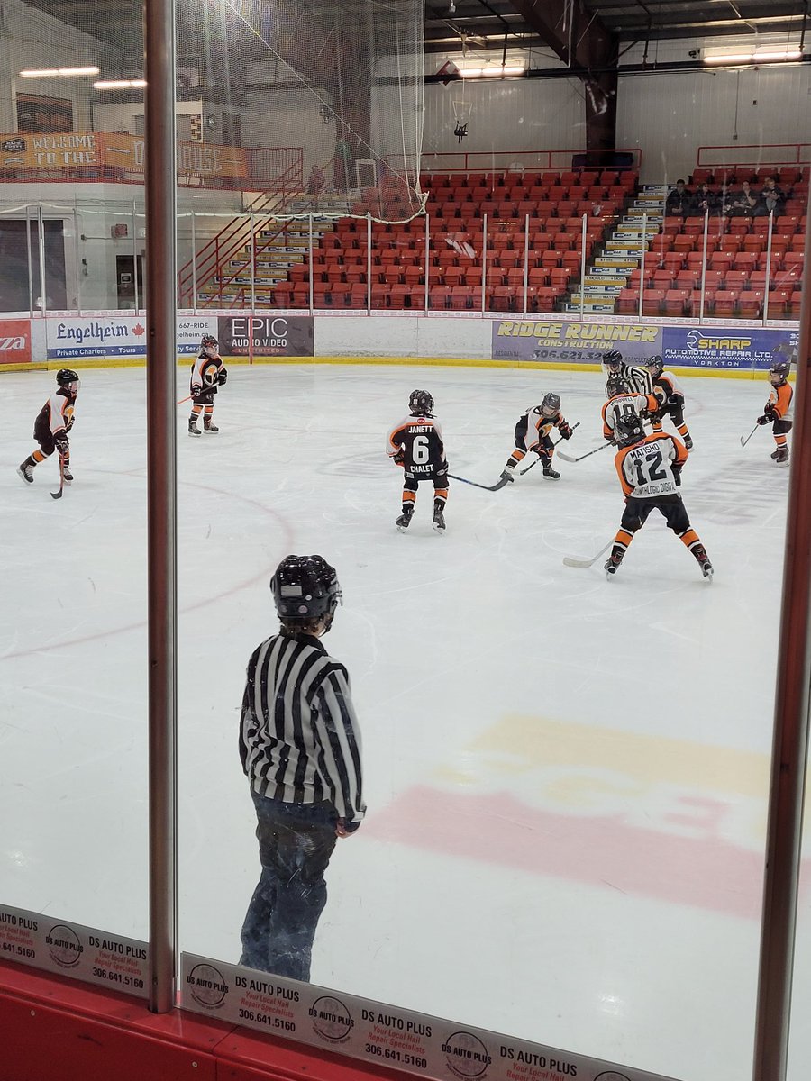 Sandra Diduck tweet media