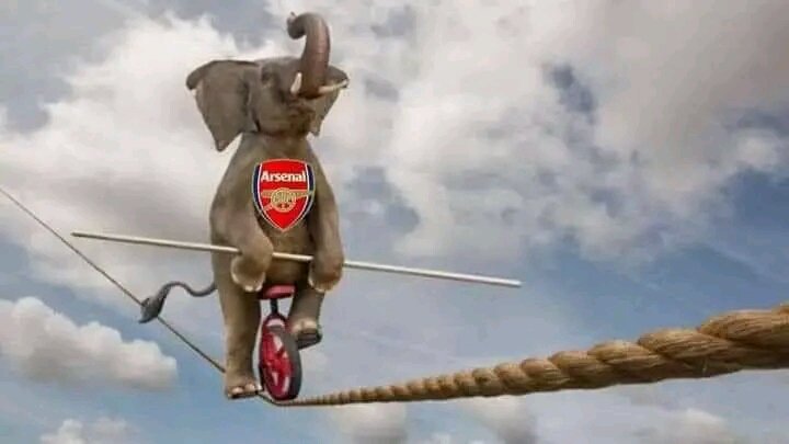 Roomwork5's tweet image. Nothing changes, the elephant will get the Premier League