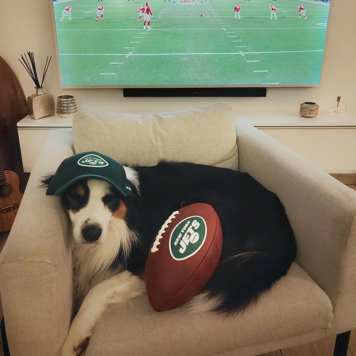 #lequipeNFL Max est chafouin mais on ne comprend pas pourquoi... De notre côté du canap', on est fans des #chiefs et de Patrick #Mahomes. Bon match et bon #SuperBowl sur #lachaineLEQUIPE #NFL
<a href="/lachainelequipe/">la chaine L'Équipe</a>