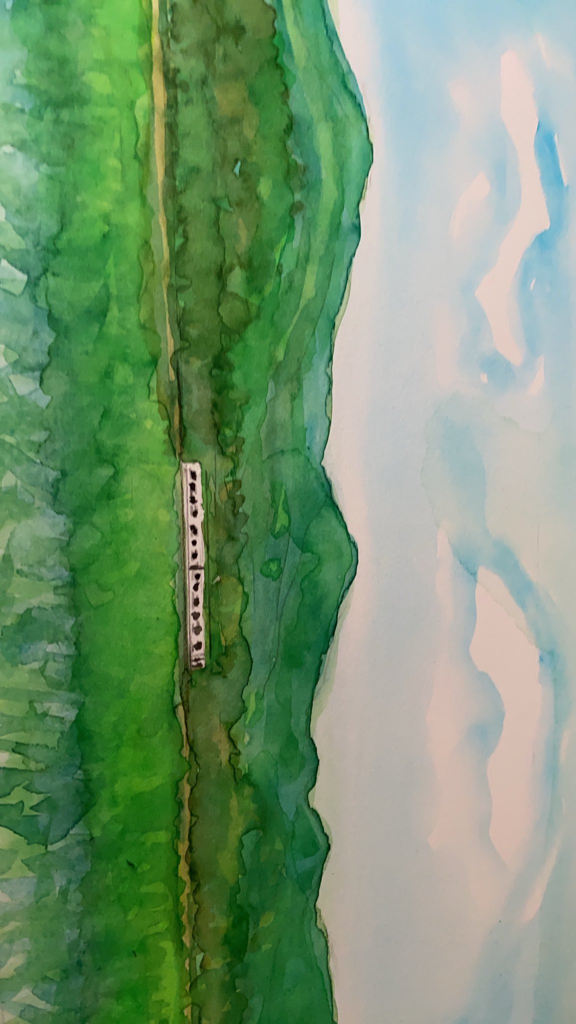 沢野ひとし on Twitter