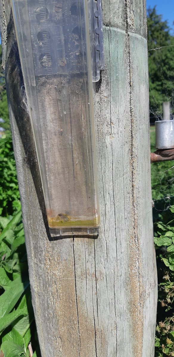 Bill McCall tweet media