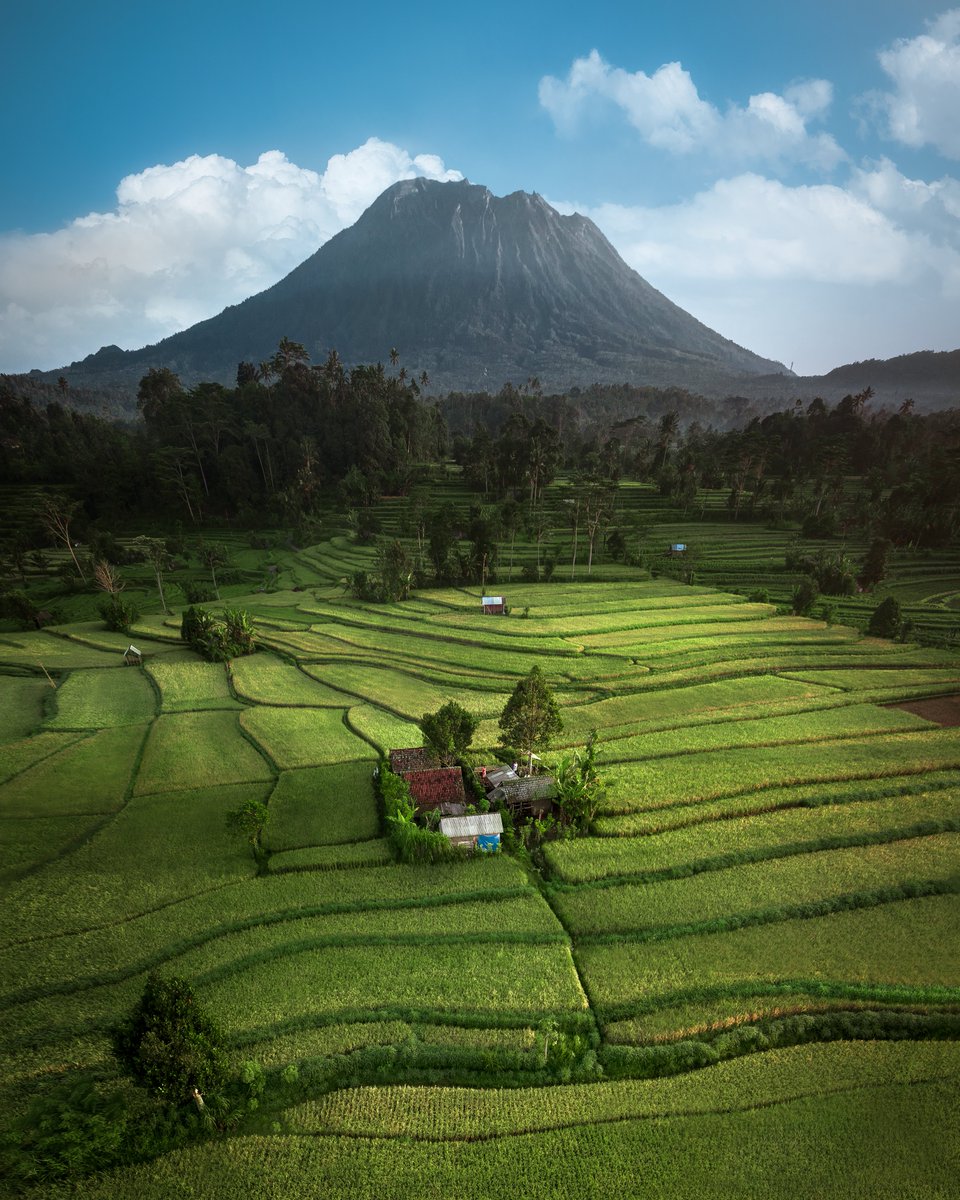 MerrWatson's tweet photo. Sights of Bali 🍃💛 gm! https://t.co/bfRdcE6qro