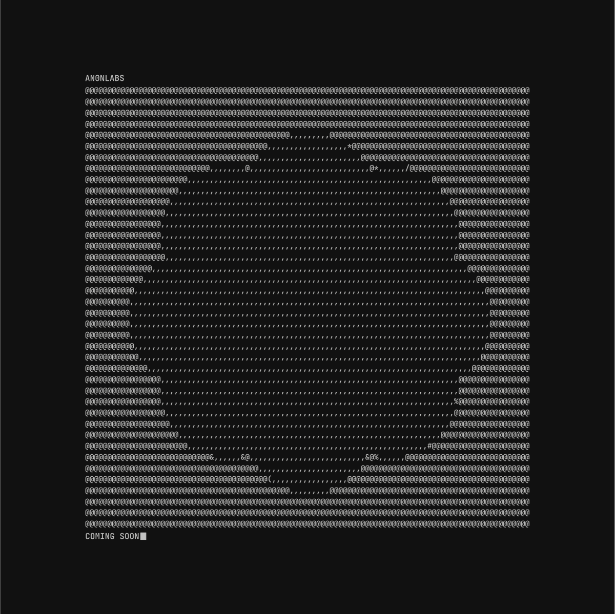 AN0NYMOUS LABS tweet media