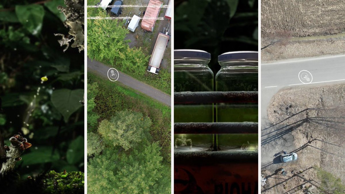 Our last #Steam demo feature this week explores how both Seedlings (<a href="/Seedlings_Game/">Bardsley Creative - Seedlings (Out now on Steam)</a>) and IDEA: The Game (<a href="/TLR___games/">TLR Games</a>) use real videos and photos to create their ambient and beautiful game worlds.

Read more at bit.ly/VGG-SeedlingsI….

#VideoGamesAreGood #IndieGames