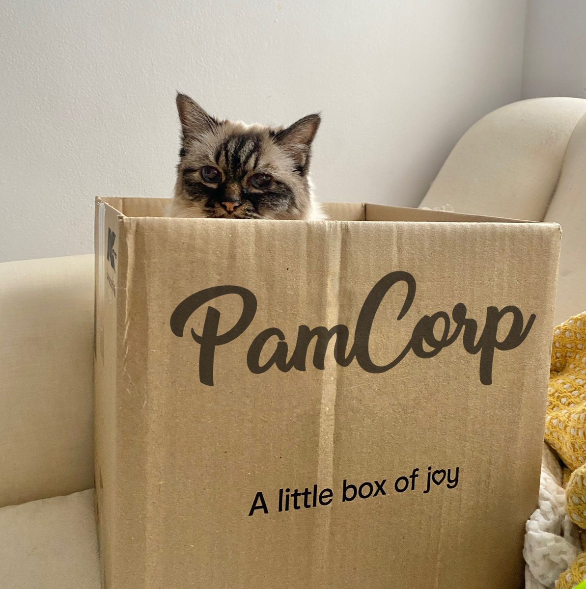 short Huey/Long jacket tweet media