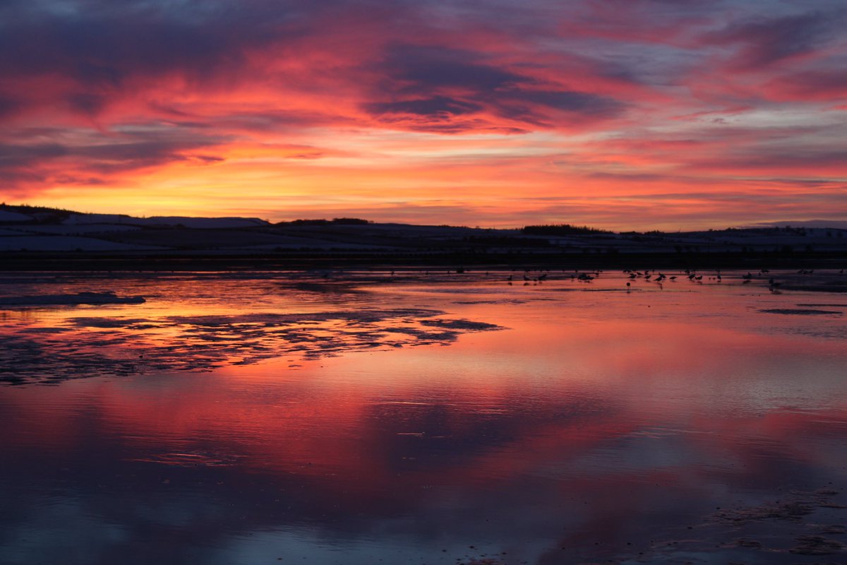 InspiringBlues's tweet photo. @nationaltrust @NTFormby #HolyIsland #Lindisfarne 📸💙 https://t.co/EE86JW2WH4