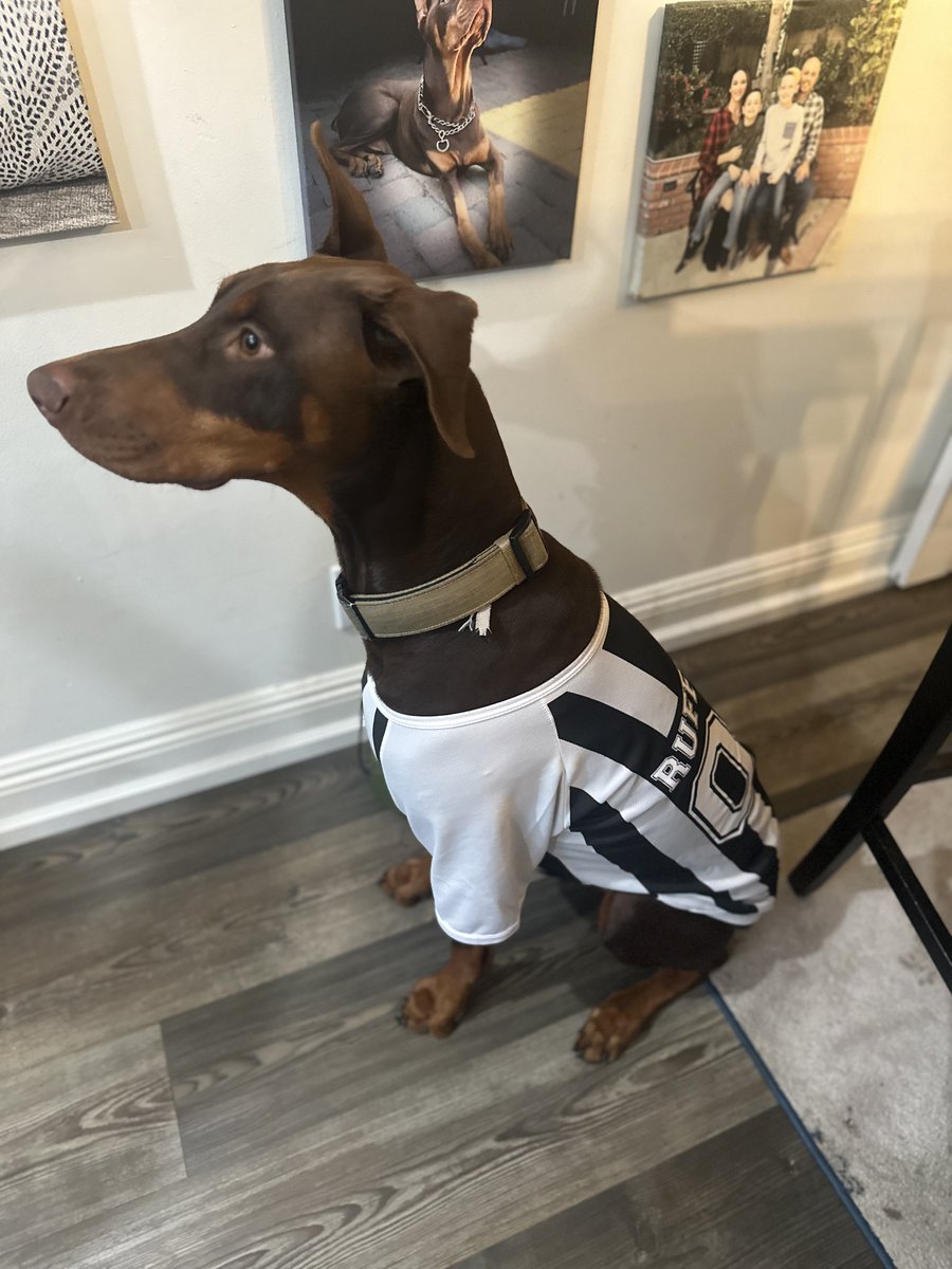 ds0uz's tweet photo. Alright, let’s have a clean game! #Rufferee https://t.co/liUEL8gAIm