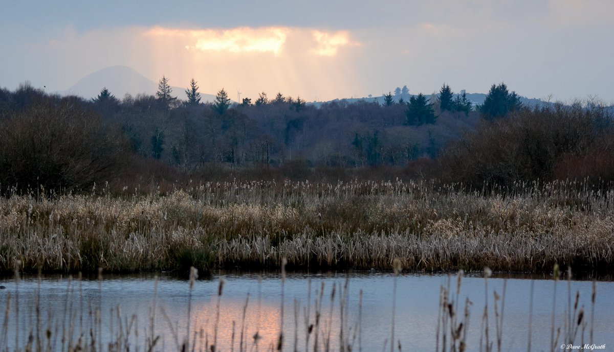 DavidMcGrath42's tweet photo. A nice end to an evening stroll at the #Gearagh #Cork 12/2/23 https://t.co/PR7c0iBXPf