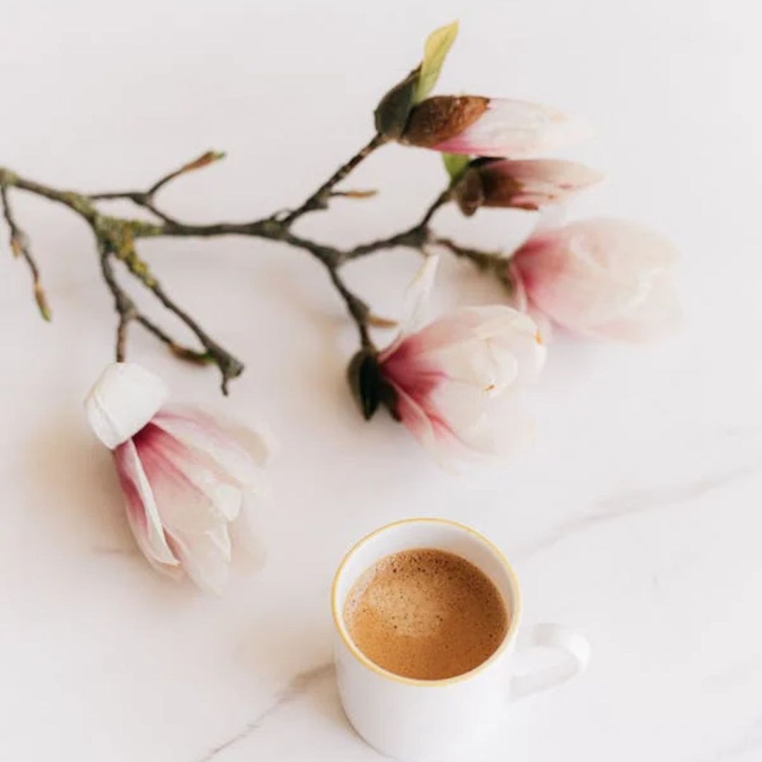 KatherineKay01's tweet photo. Say hello to my two favorites: flowers and coffee! https://t.co/XpQyOmjpZI