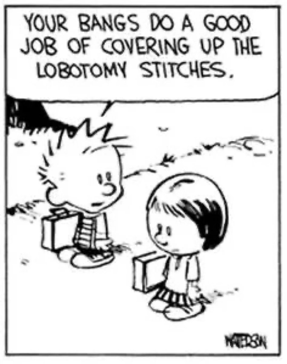 Calvinn_Hobbes's tweet image. How to flirt 101 #CalvinandHobbes