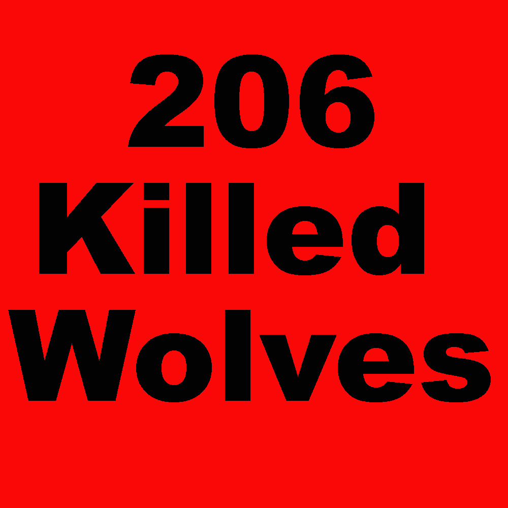 8 more Montana wolves killed as of yesterday. As of February 12, 2023 Montana has killed 206 wolves. This doesn't include poaching and other human-caused mortality. Join the fight to protect our wolves an wildlife.info@wolvesoftherockies.org
#mtfwp, #Takebackourwildlife