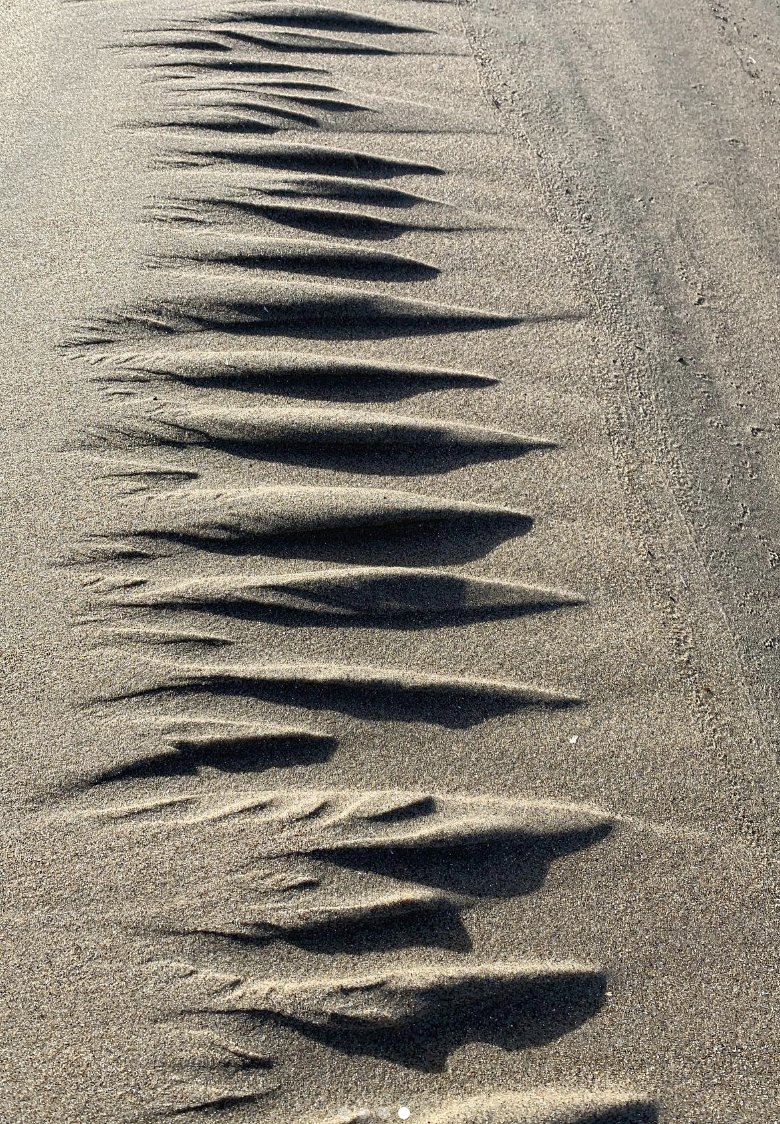 @jkakiwi_allan On a much smaller scale, love these drainage gullies at the OR coast today. 2-3', created as tide went out.