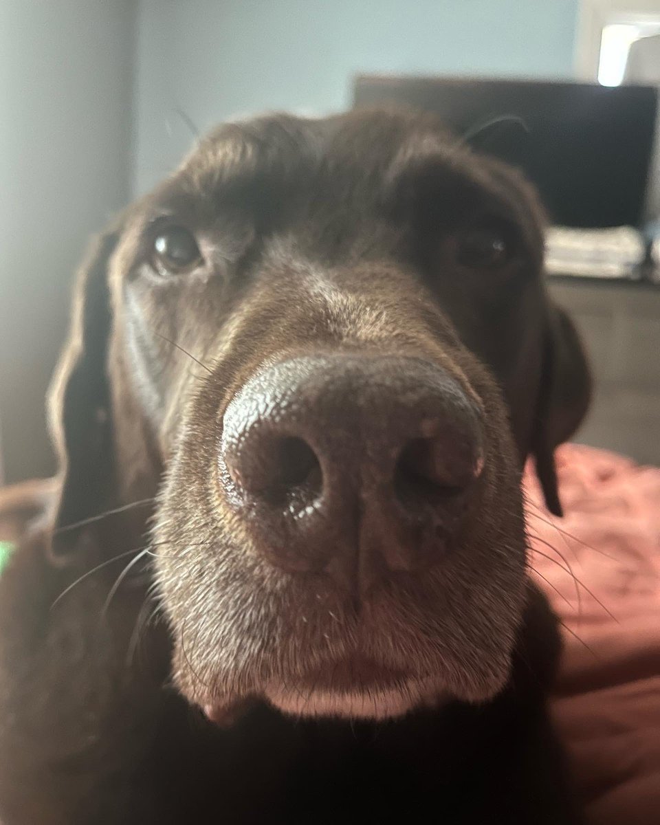 David Delooper tweet media